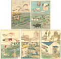 Educational Illustration Book,......