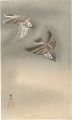 Sparrows in Snow