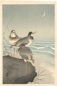 Ohara Koson(Shoson) / Plover near the Seaside with a Crescent Moon