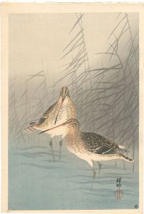 Ohara Koson(Shoson) / Snipe and Reeds in a Stream
