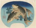Carp【Reproduction】