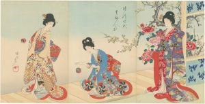 Chikanobu / Noble Ladies in the Tokugawa Era [徳川時代　貴婦人の図]