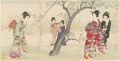 Plum Tree in Bloom
