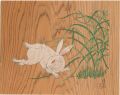 Hakuto(White rabbit)
