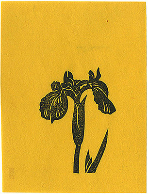 平塚運一「菖蒲（仮題）
」