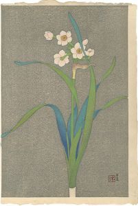 Mitsui Atsuo / Narucissus(tentative title)