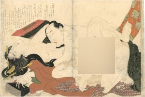 Hokusai / Shunga [絵本つひの雛形より]