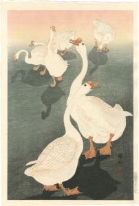 6羽のがちょう