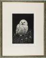 White owl and birch grass