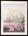 Shiai(Chrysanthemum, Lotus, Pl......