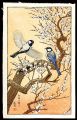 Flying Around the Plum Tree 