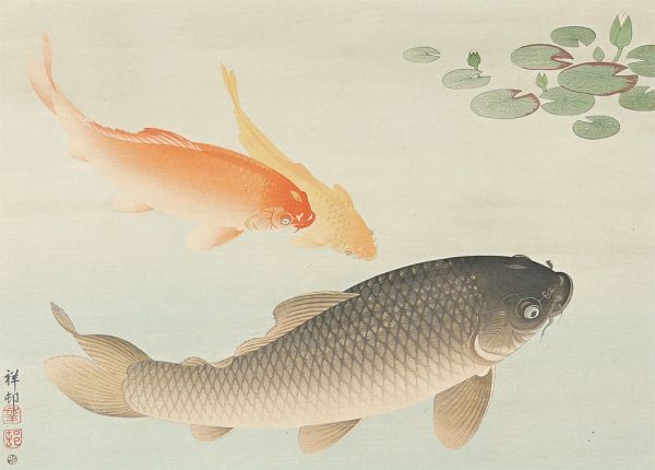 Ohara Koson(Shoson) “魚公悠々図”