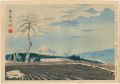 Thirty-Six Views of Mt. Fuji /......