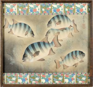 Ohno Bakufu / Fish of Japan / The Ishidai (Rock Sea Bream)