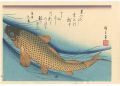 A Series of Fish Subjects / Ca......