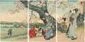Cherry Blossoms at Sumida