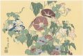 Morning-glory and Frog【Reprodu......