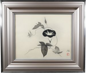 朝顔