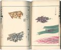 Illustrated Herbal, Manual of ......