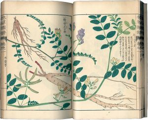 本草図譜　巻之一 山草類一