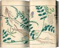 Illustrated Herbal, Manual of ......