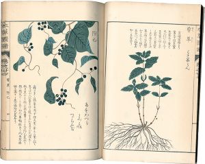 本草図譜　巻之廿七 蔓草類六