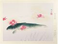 Camellia and a Carp
