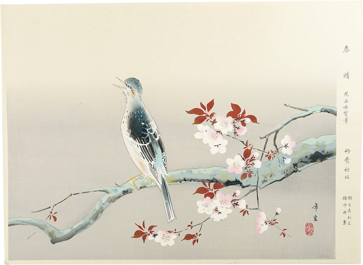 児玉希望「春晴」