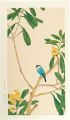 Loquat and java sparrow