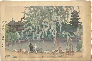猿沢池畔の柳
