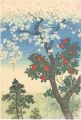 Cherry blossoms and Camellia