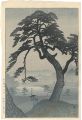 Pine-tree in Rainy Season, Kin......