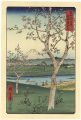 Thirty-six Views of Mount Fuji......