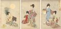 Chiyoda Inner Palace / Moon-Vi......