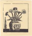 Zinnia 