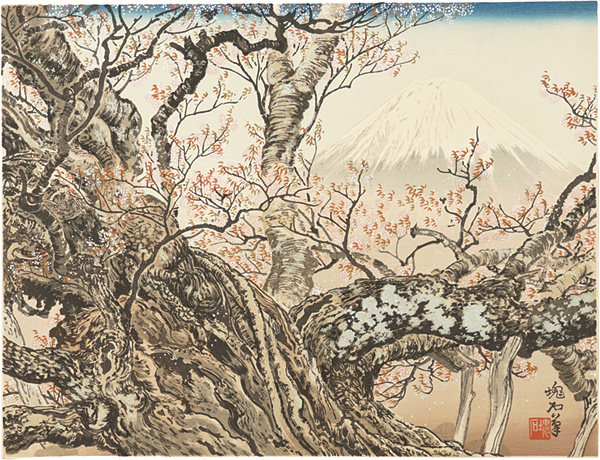 Jokata Kaiseki “Cherry Blossoms at Komadome and Mount Fuji”