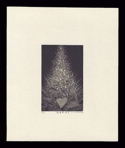 栗田政裕「眩暈華・序・II」