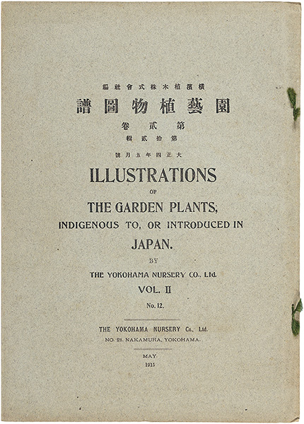 「園芸植物図譜　第二巻 第十二輯　アイリス」横浜植木株式会社 編