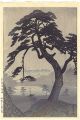 Pine-tree in Rainy Season, Kin......