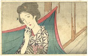A Mosquito Net from the Magazine The Ladies' Graphic