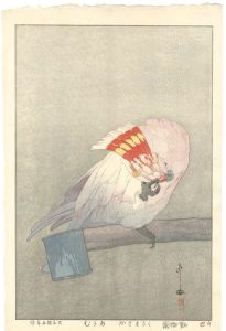 At the Zoological Garden / Major Mitchell's Cockatoo