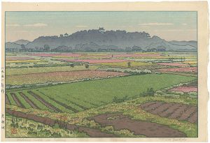 Yoshida Toshi / Hikone Castle in Spring