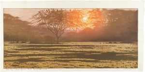 Yoshida Toshi / One Day in East Africa No. 9