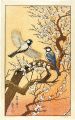 Flying Around The Plum Tree