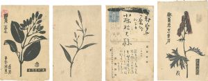 Fujimori Shizuo / Postcards