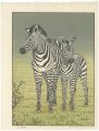 Zebras