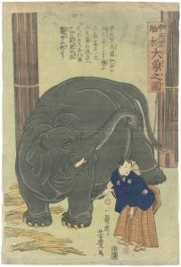 芳豊「中天竺舶来 大象之図」