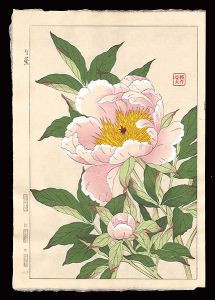 Kawarazaki Shodo / Peony
