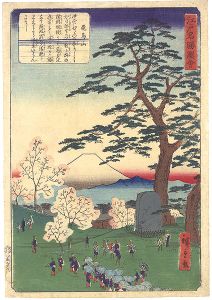 Hiroshige II / Views of Famous Places in Edo / Asuka Hill [江戸名勝図会　飛鳥山]