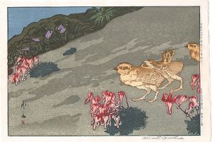 日本アルプス十二題　雷鳥とこま草